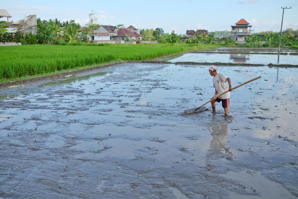 Pondok Ayu Soca Ubud Buitenkant foto