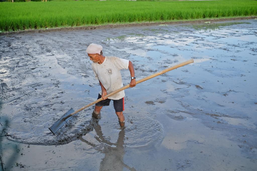 Pondok Ayu Soca Ubud Buitenkant foto